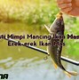 Mimpi Mancing Dapat Ikan Patin Besar Togel